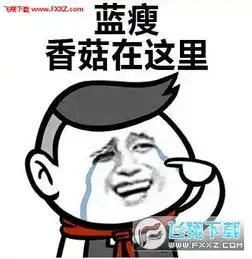 蓝瘦香菇表情包搞笑无水印版下载蓝瘦香菇南宁小哥表情包高清无水印版下载飞翔下载
