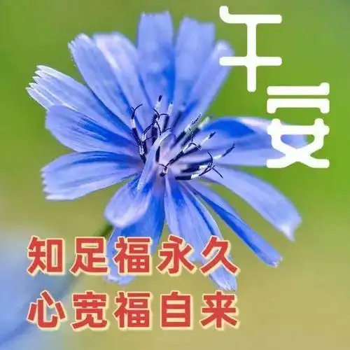 中午好片大全,中午好问候,午安祝福
