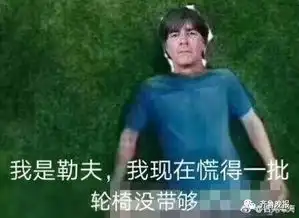 在狂风暴雨的夜里心碎卫冕冠军德国队爆冷出局
