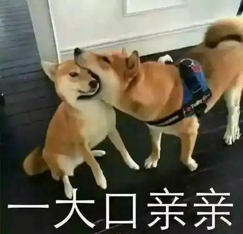 社联新年特别推送春节档电影大推荐文末有惊喜
