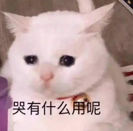 我的悲伤大概有这么大可爱猫咪的表情包
