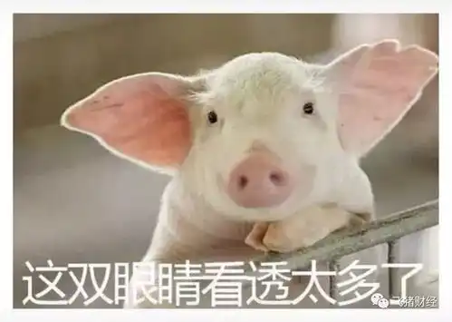 震荡筑底将持续3周,小刀行情要点
