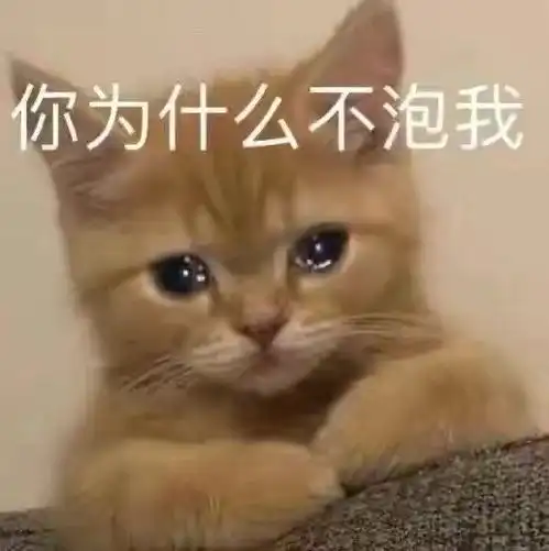 萌宠表情包你为什么不泡我
