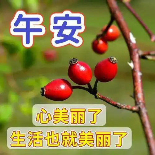 中午好,午安温馨短句子,让夏天的风景,送你鸟语花香让我的问候,送你幸福安康快乐清晨祝福网易订阅

