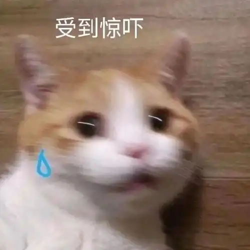 表情包大全日常斗图表情包
