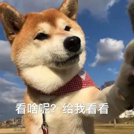 有趣的人都英年早婚了,下场辟谣出轨,顺带泼了把狗粮秀
