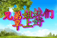微信早上好图片,问候早上好表情包

