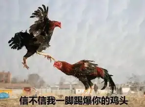 最近被鸡洗脑了,一组新的鸡年表情包
