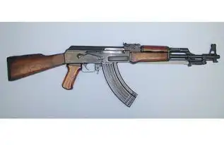 在战斗中历练的中国步兵枪族发展历程浅析
