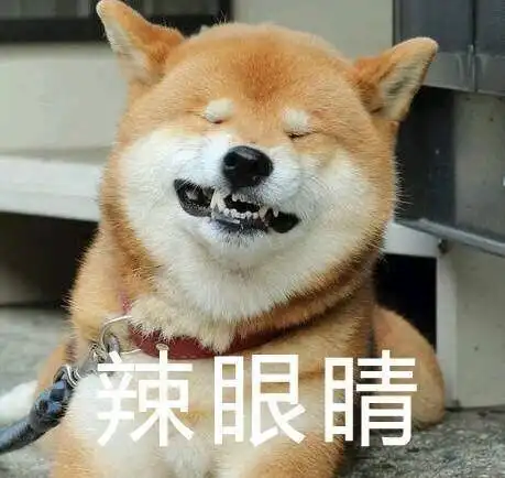 内存准备好了吗你们要的柴犬表情包来了
