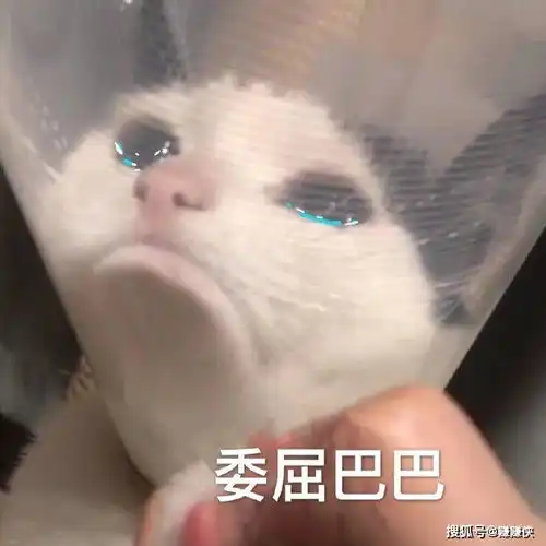 微信抖音斗图表情包图片委屈巴巴
