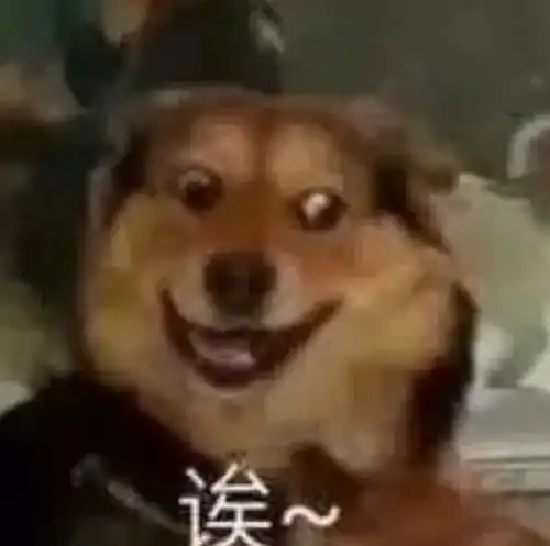 一秒入春在家云赏花,把江南的春色赏个遍
