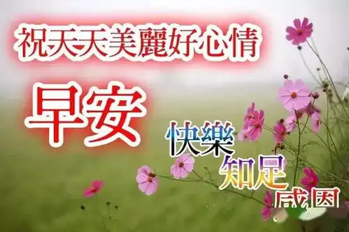 阳光不同,是因为心情不同绿叶不同,是因为风向不同,早安
