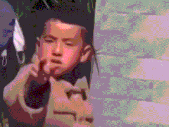 收藏精品搞笑表情包动态笑死人的搞笑表情包搞笑表情包gif
