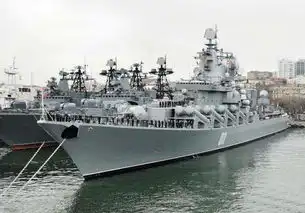俄海军官兵来华参观我052d型大驱面对垂发表情微妙
