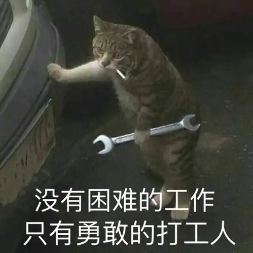 细数那些适合猫咪的职业腾讯新闻
