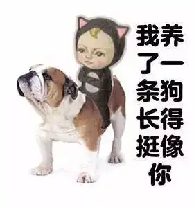 百度的惊天大秘密,亲身体验
