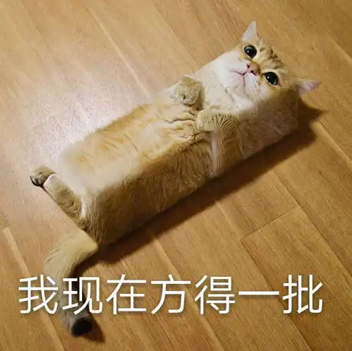 我使命召唤手游台服的账号没了
