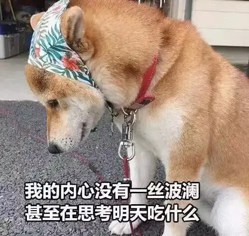 罗斯牛逼前三节划水,末节连得10分2助攻直接带走比赛
