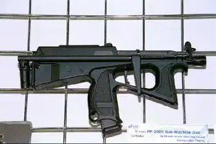 俄内务部放弃ak改用新型pp2000冲锋枪
