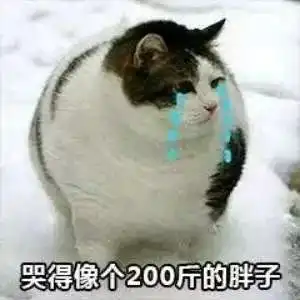 两天后,顺德企业联谊单身派对来袭单身男女将在这里遇见爱情
