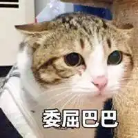 委屈表情包图片大全微信头像图片大全
