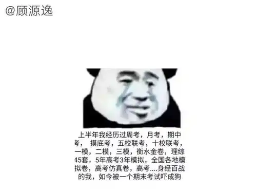学了忘忘了学学了还得忘期末考试专属表情包高能预警
