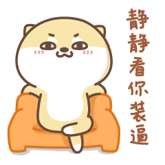 幸福猫咪阿福qq表情图片
