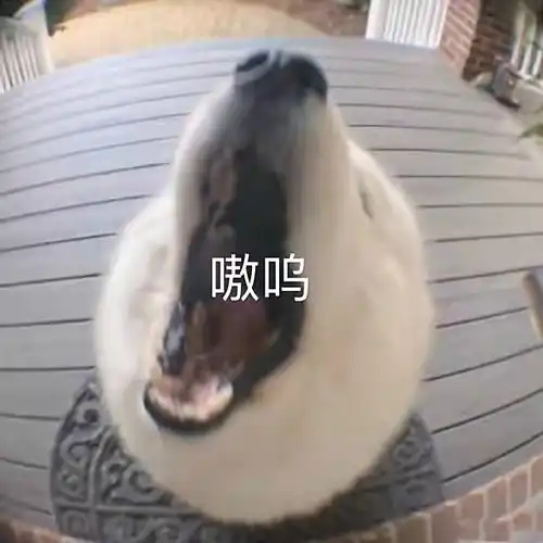 视频里常用的表情包分享
