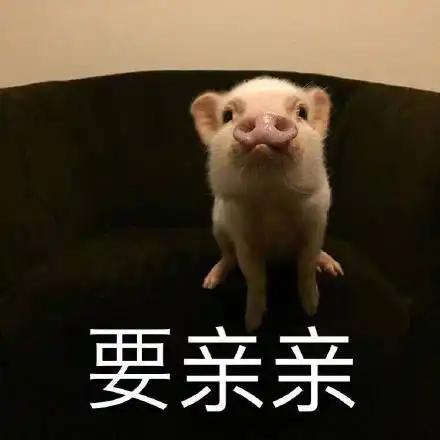 人眼睛里有猪的表情包
