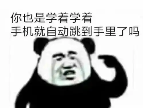 用一个表情包形容期末考试
