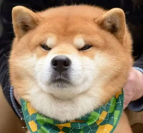 学习
