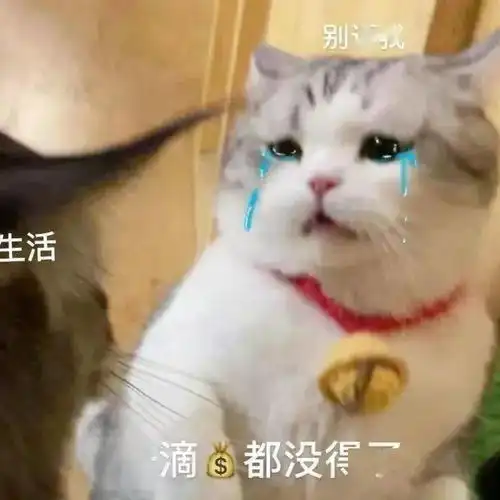 日常聊天表情包i我的小宝贝在吗
