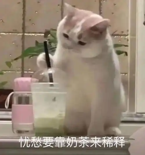 表情包宝,我有你睡着的视频,发给你看一下
