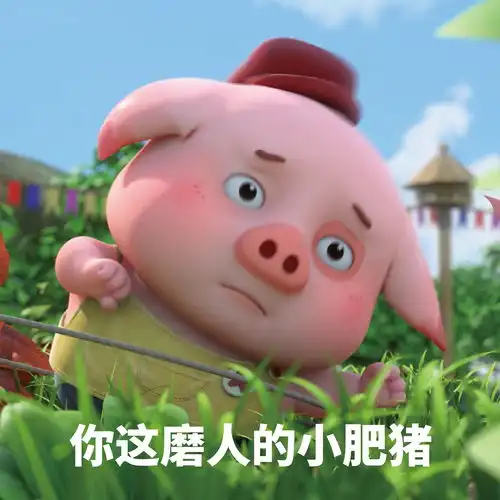 探探猫搞笑图片合集今天努力工作明天努力不工作
