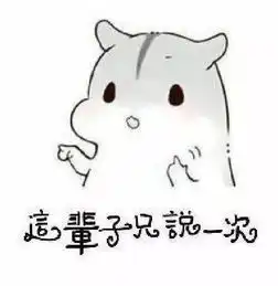 仓鼠表情包撩妹套路图
