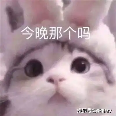 幼儿园老司机的表情包大全2021害羞又很可爱的表情图片
