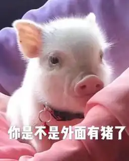 屿鱼照片屿鱼相册大全yy官方
