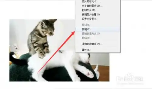 如何利用qq涂鸦编辑搞笑的qq表情
