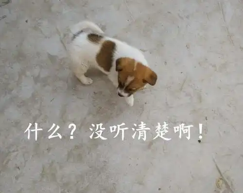 搞笑图片幽默笑话想当年,闺蜜可是帮助我杀过猪的啊
