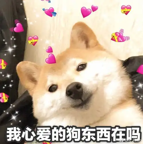 央视点评ku九卅娱乐10年信誉登陆
