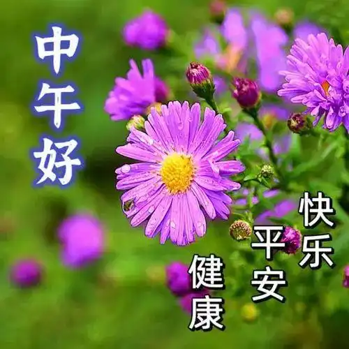 中午好图片大全,午安问候图片,中午好祝福图片带字唯美
