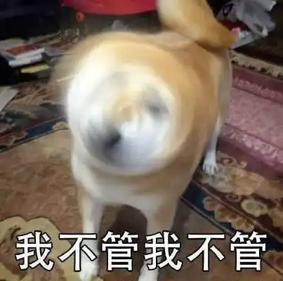 途牛北欧旅游团17万财物被偷公司称我们没责任
