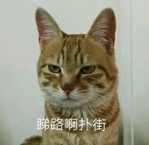 你们有哪些令人捧腹大笑的表情包
