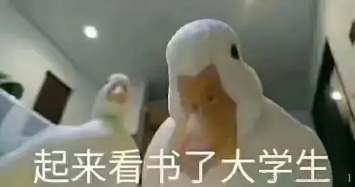 侃爷,我愿称之为欧美娱圈永远的造瓜人
