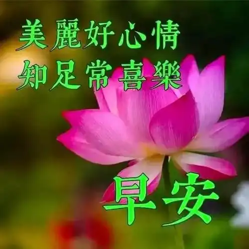 8月3日星期六早安快乐清晨问候心情愉快吉祥如意
