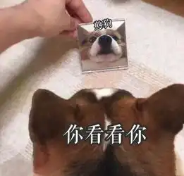 e句话看天下丨热巴表妹准备出道,你觉得能红吗
