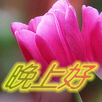 字正腔圆对唱歌来说不仅仅是只练发音和口型,你听
