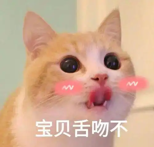 猫咪会怎样欢迎铲屎官回家呢
