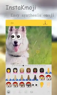 instakmoji表情软件instakmoji安卓版下载v1.0.2跑跑车安卓网
